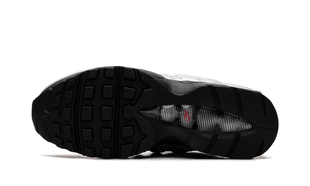 Nike Air Max 95 "Total 90 - Metallic Silver" IB6830 002