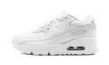Air Max 90 CD6867 100