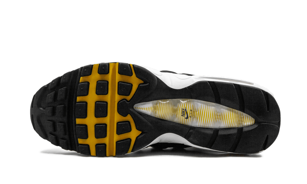 Air Max 95 CD7495 100