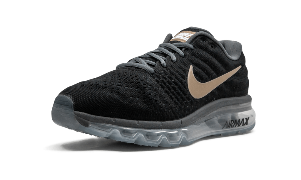 AIR MAX 2017 MNS WMNS "Bronze" 849560 008