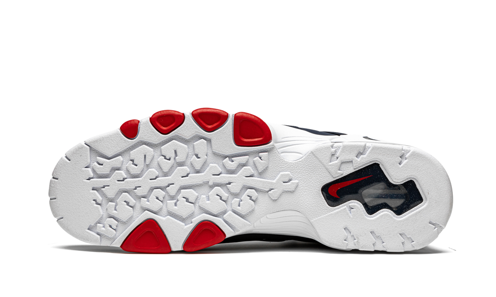 Air Max CB 94 "USA 2021" DJ5160 400