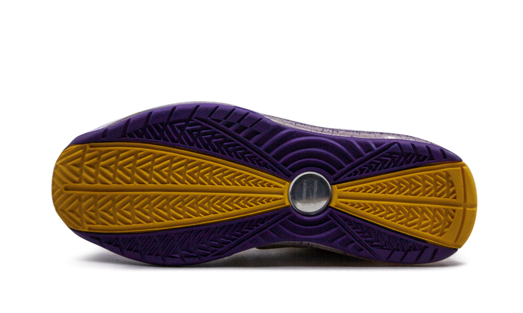 Air Max Lebron 7 "Media Day" CW2300 500