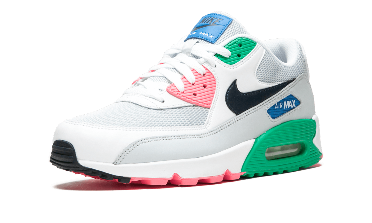 Air Max 90 Essential AJ1285 100