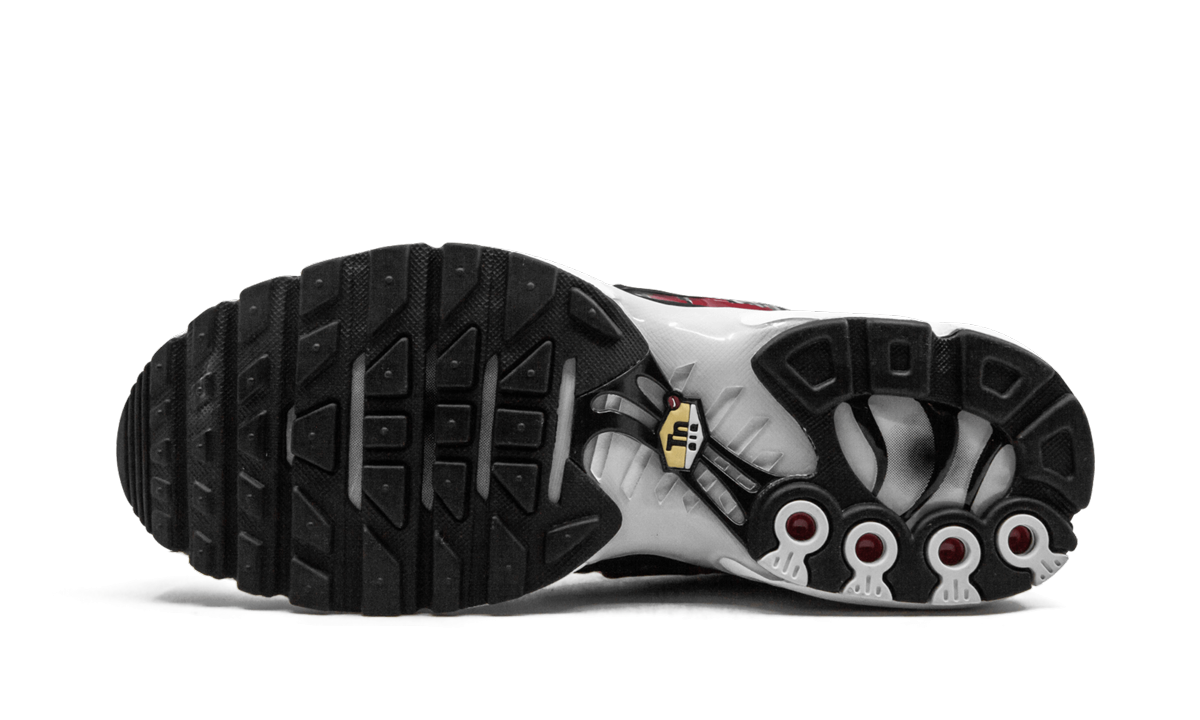 Air Max Plus TN SE "Striped" AT0040 001
