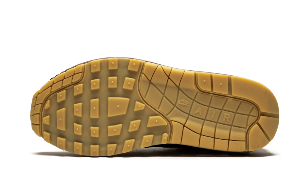 Air Max 1 "Missing Link - Susan" CK6643 100