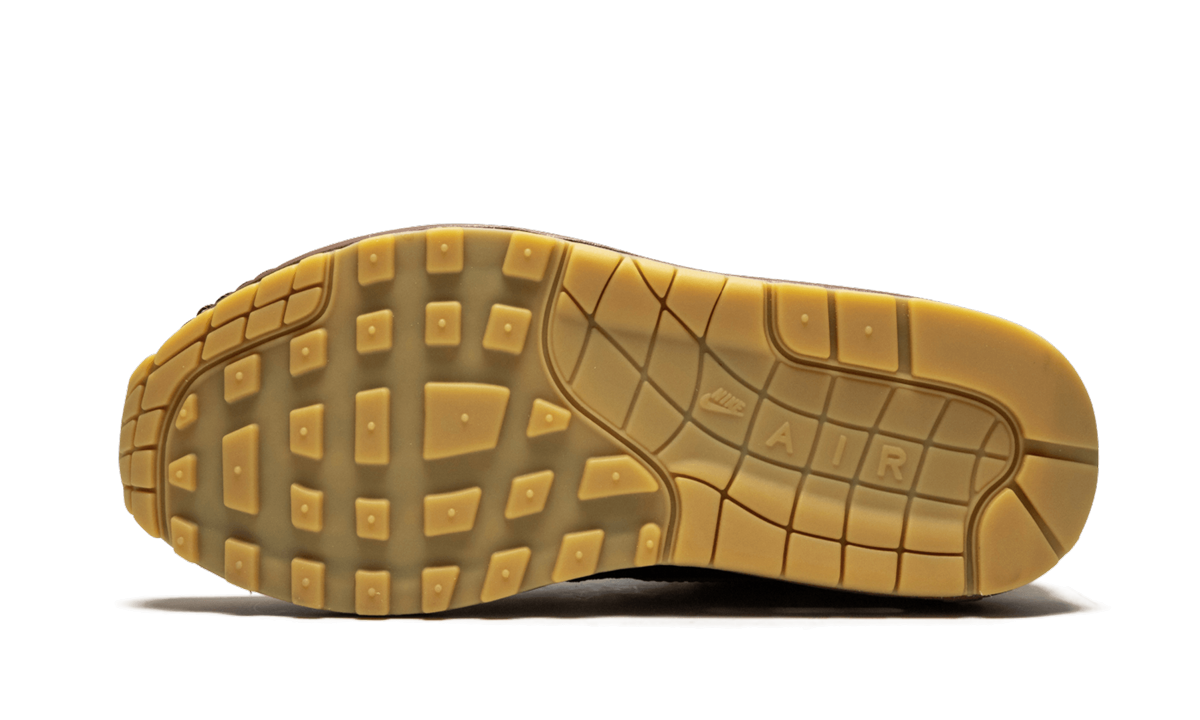 Air Max 1 "Missing Link - Susan" CK6643 100