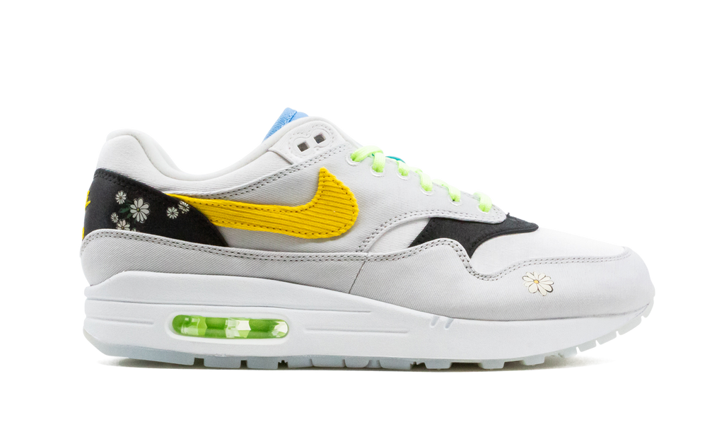 Air Max 1 "Daisy Pack" CW6031 100
