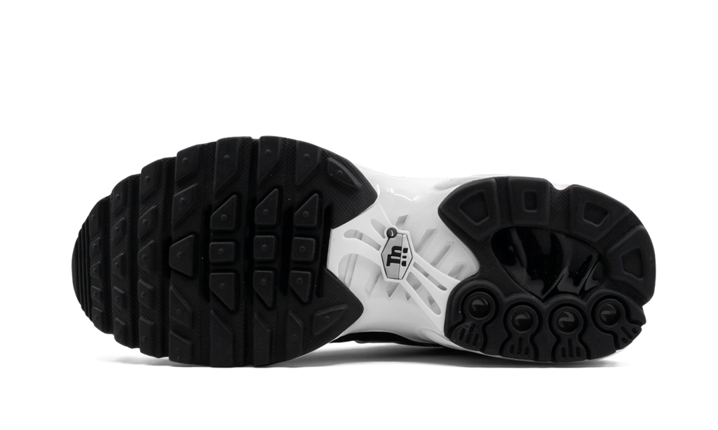 Air Max Plus GS "Black" 655020 077