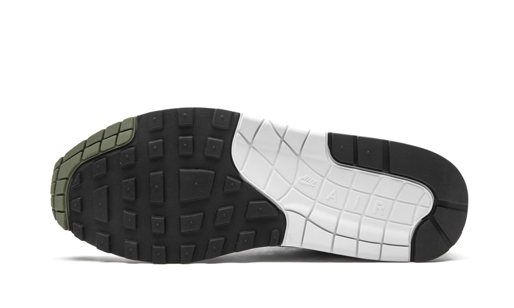 Air Max 1 "Spiral Sage" DB5074 100