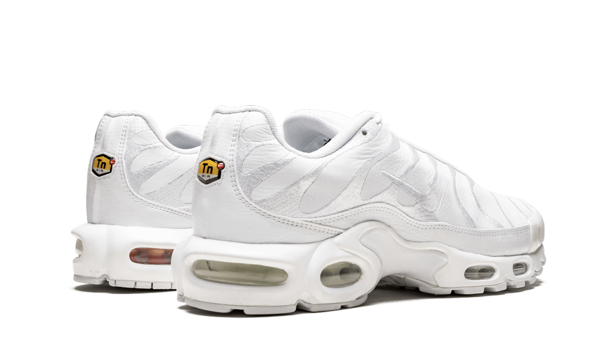 Air Max Plus "Triple Black" AJ2029 001