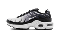 Air Max Plus GS "Black" 655020 077