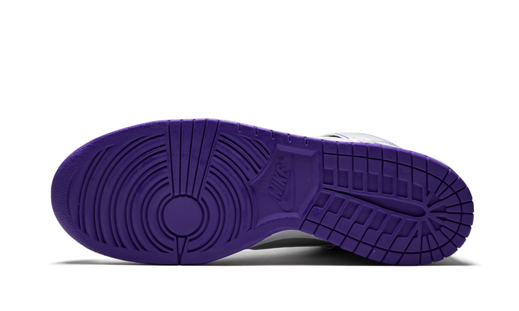 SB Dunk High Premium "Dinosaur Jr" 313171 003
