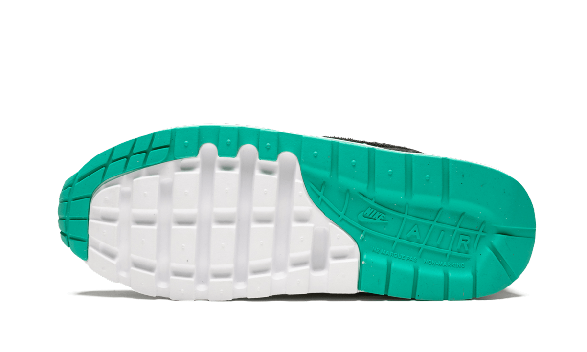 Air Max 1 NK Day (GS) "Have a Nike Day" AT8131 001