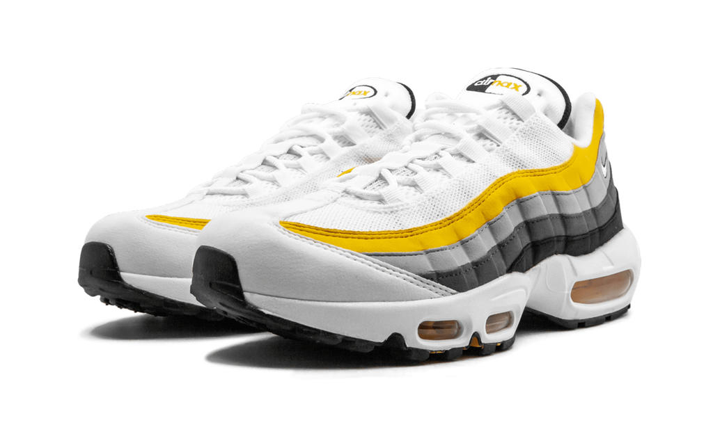 Air Max 95 CD7495 100