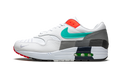 Air Max 1 "Evolution Of Icons" CW6541 100