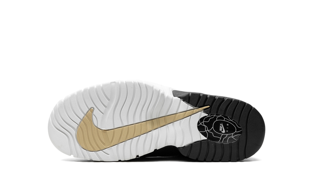 Air Max Penny GS "Rattan" DZ5311 200