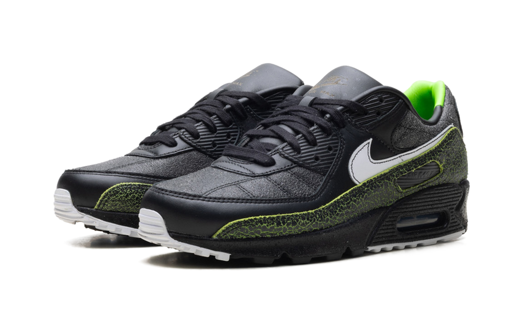 Air Max 90 "Tiempo 2005" IU0523 010