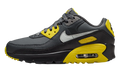 Air Max 90 LTR GS "Lightning Smoke Grey Anthracite Light Silver" CD6864 702