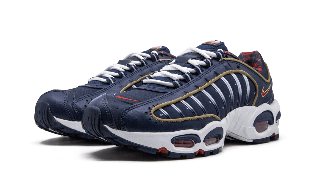 Air Max Tailwind 4 "USA" CK0849 400