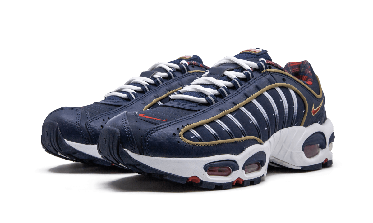 Air Max Tailwind 4 "USA" CK0849 400