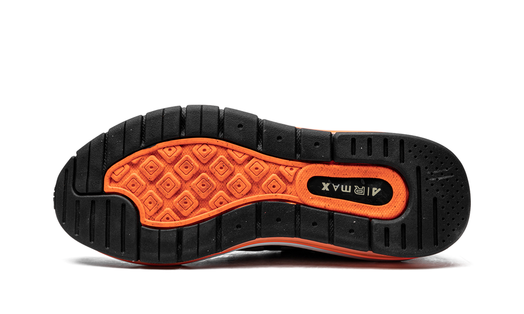 Air Max Genome "Grey Fog Total Orange" DB0249 002