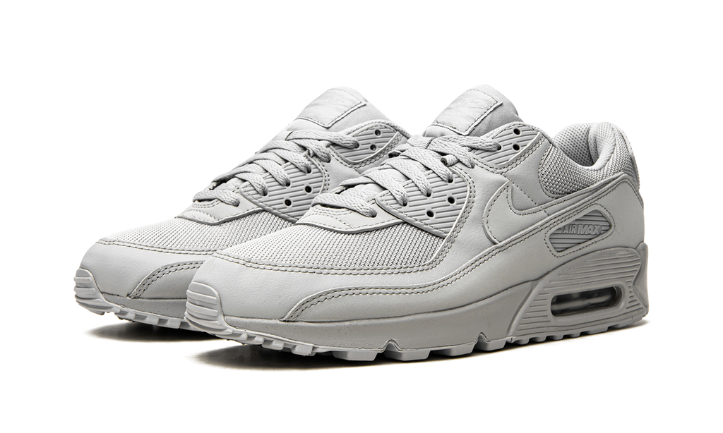 Air Max 90 "Wolf Grey" CN8490 001
