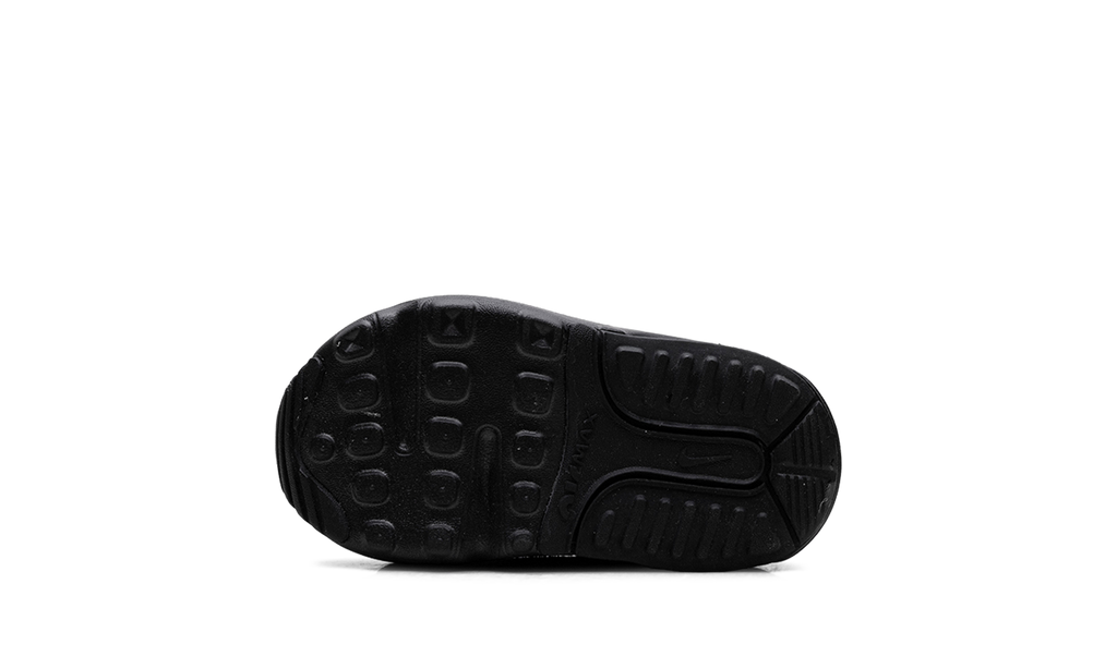 Air Max 2090 TD "Black Wolf Grey" CU2092 001