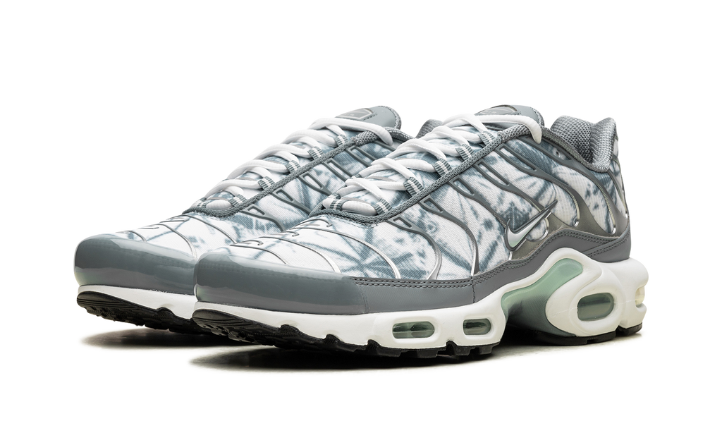 Air Max Plus "Waterway" FV0394 300