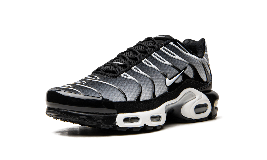 Air Max Plus "Black / Silver" DM0032 003