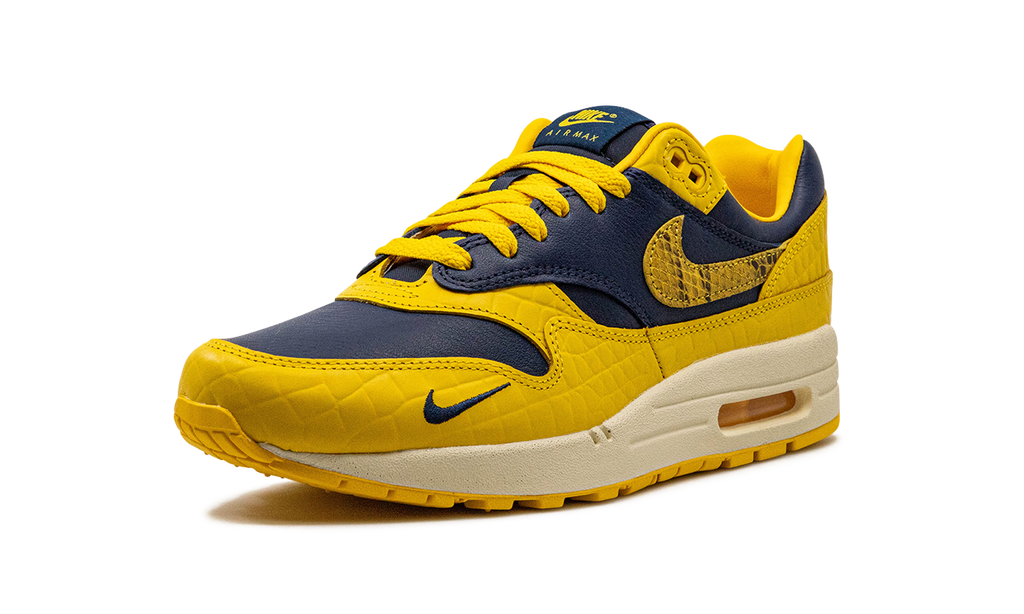 AIR MAX 1 PRM MNS WMNS "Co.jp Head to Head" FJ5479 410