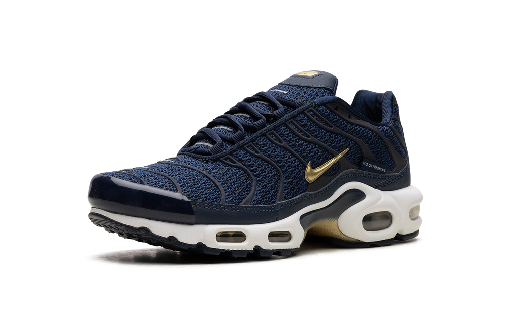 Air Max Plus "FFF" fb3350 400