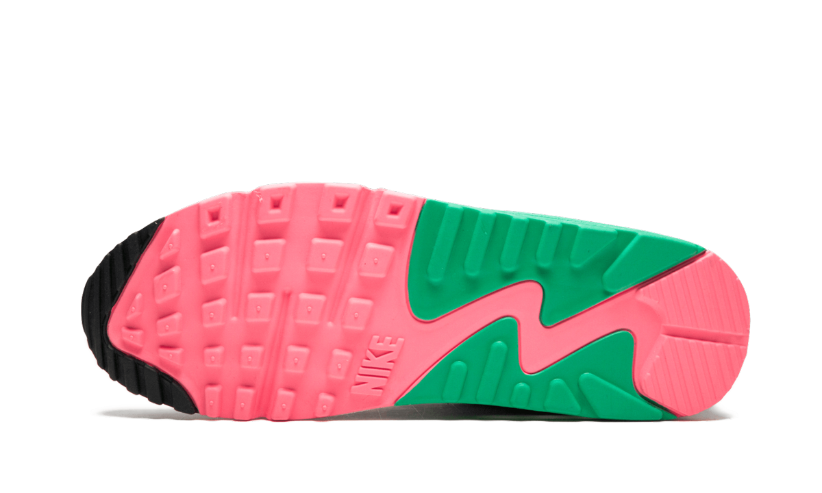 Air Max 90 Essential AJ1285 100