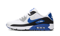 Air Max 90 Golf "Game Royal" DX5999 141