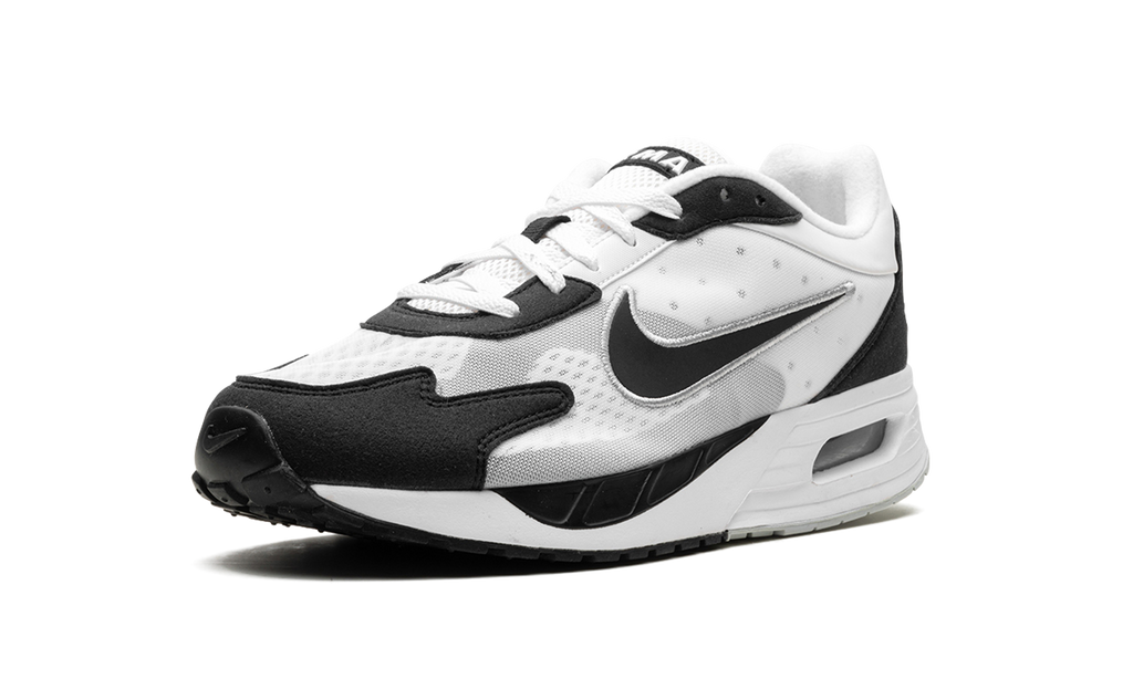 Air Max Solo "White Black" DX3666 100