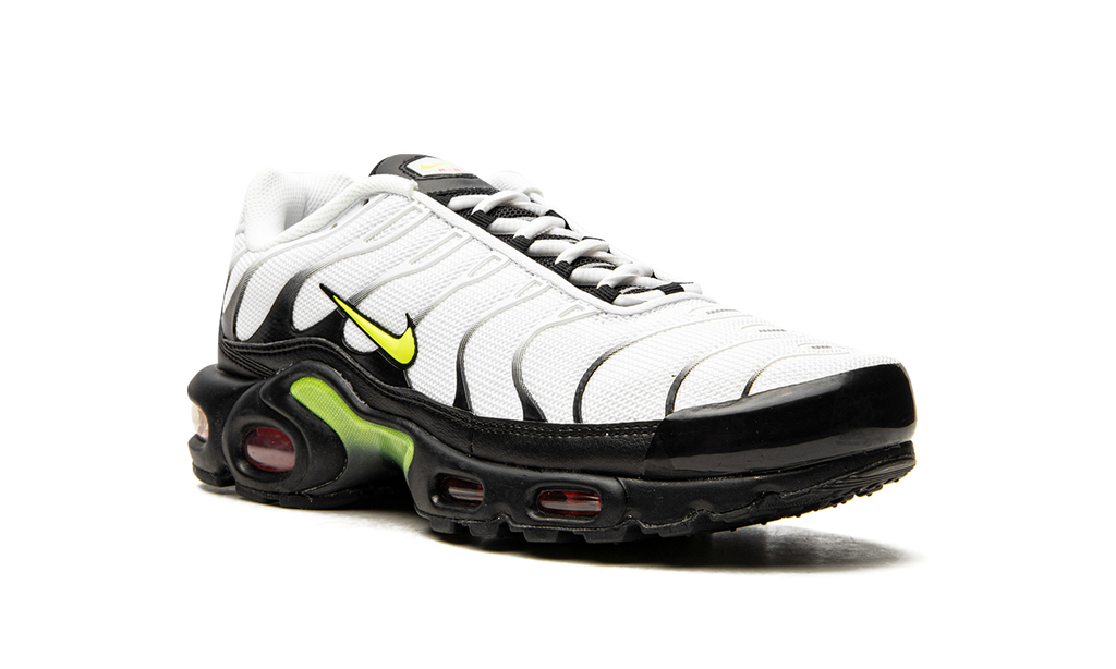 Air Max Plus "Retro Future" AJ2013 100