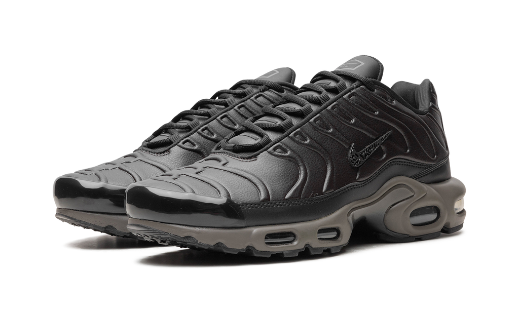Air Max Plus "Black Tea / Petra Brown" "Black Tea / Petra Brown" HJ4519 200