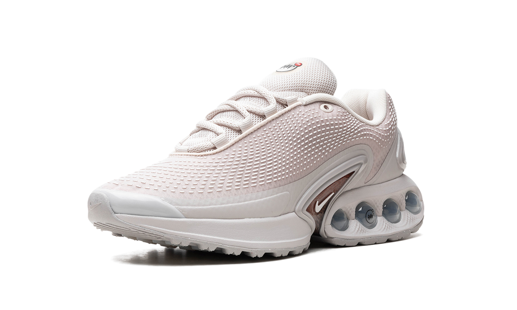 Air Max Dn "Light Orewood Brown" FJ3145 101