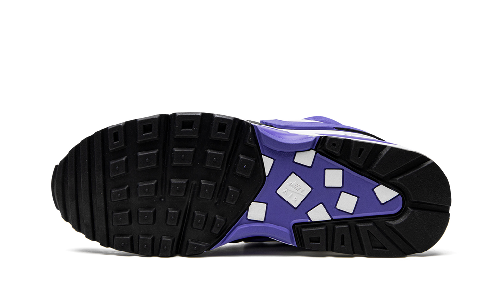 AIR MAX B WMNS "White Persian Violet" DN4113 101