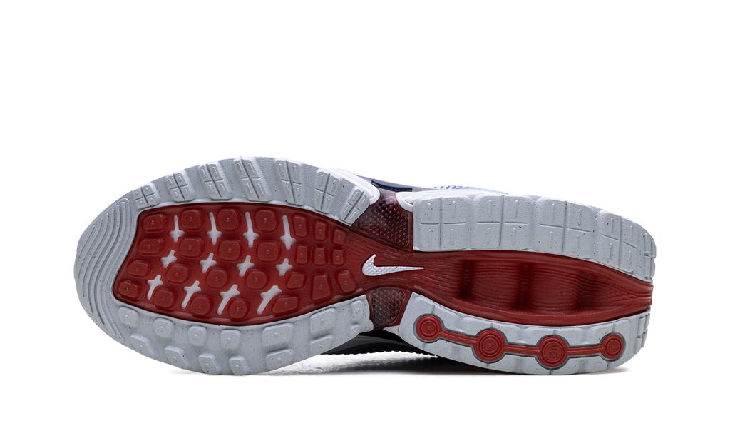 Air Max Dn "Team USA" FV2250 100