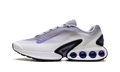 Air Max Dn "Persian Violet" HQ4565 001