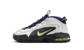 Air Max Penny GS "Penny Story" FZ3546 100