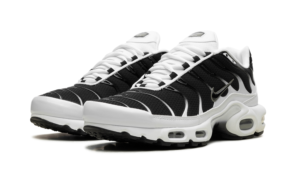 Air Max Plus "Black / White" CT1094 102