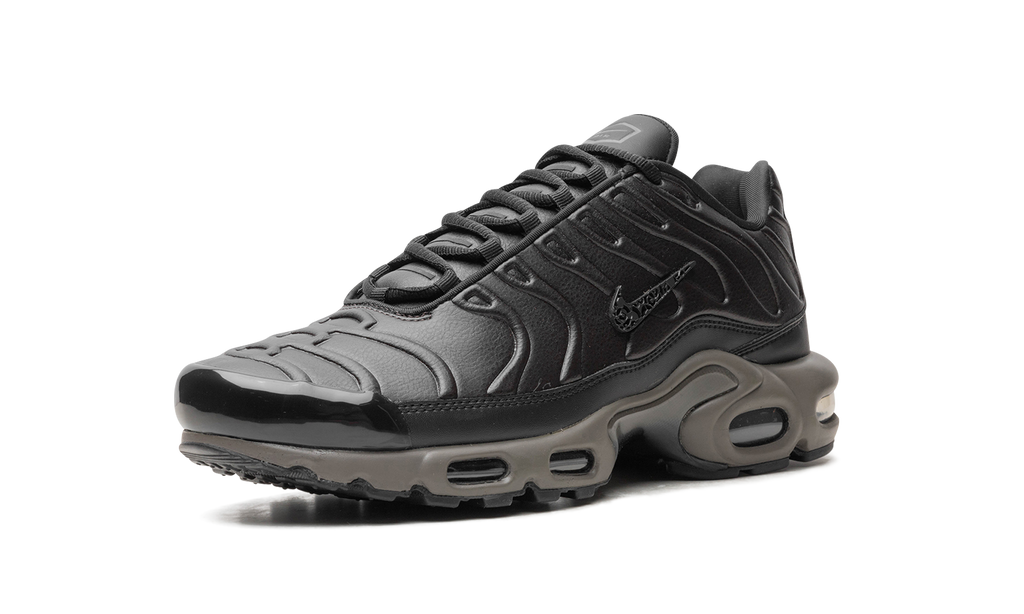 Air Max Plus "Black Tea / Petra Brown" "Black Tea / Petra Brown" HJ4519 200