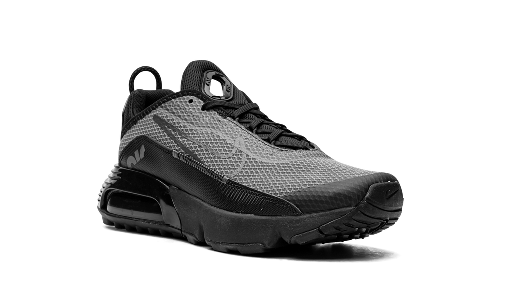 Air Max 2090(GS) "Black Wolf Grey" CJ4066 001