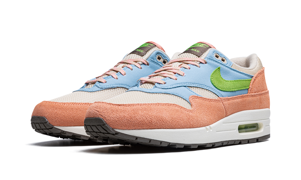 Air Max 1 "Light Madder Root" DV3196 800