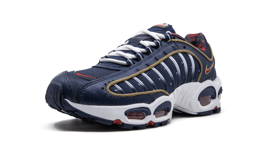 Air Max Tailwind 4 "USA" CK0849 400