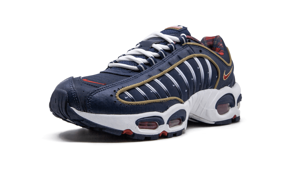 Air Max Tailwind 4 "USA" CK0849 400