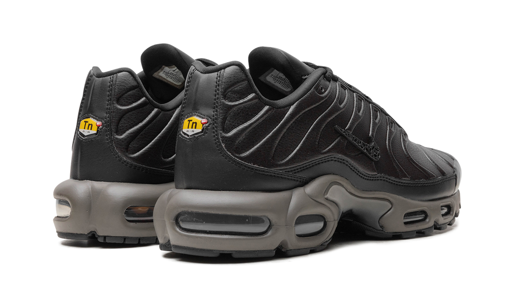 Air Max Plus "Black Tea / Petra Brown" "Black Tea / Petra Brown" HJ4519 200