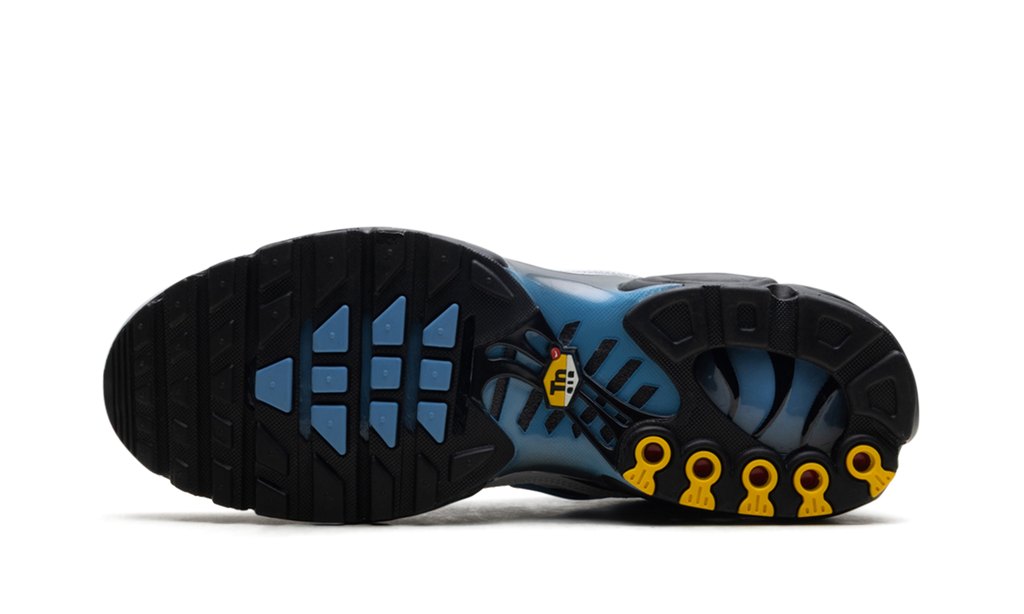 Air Max Plus "Grey University Blue Black" DM0032 015