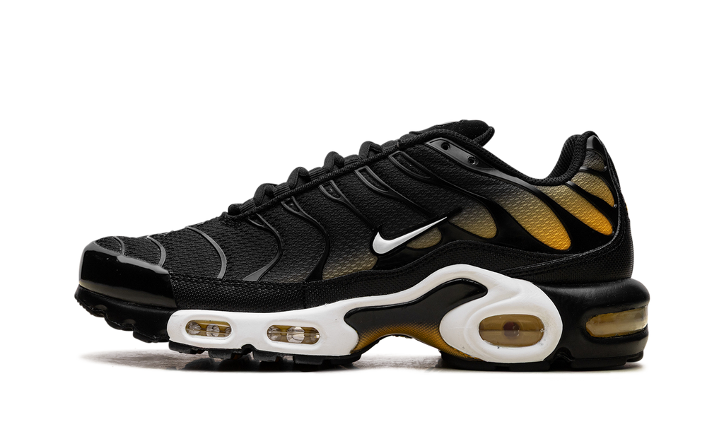 Air Max Plus "Black University Gold White" DM0032 013